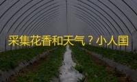 采集花香和天气
？小人国的世界脑洞大开！